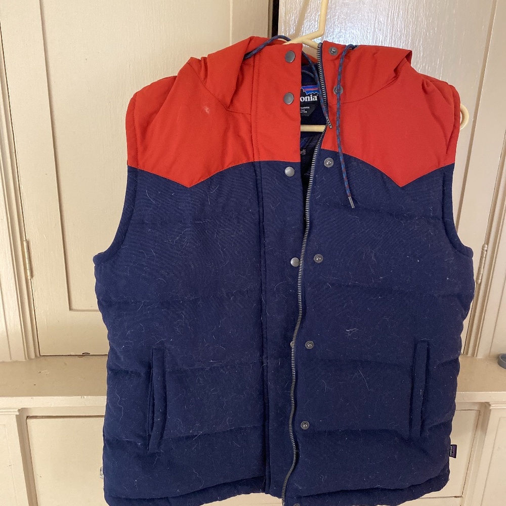 Patagonia down vest